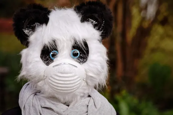 Vegadream Kasino Tuki